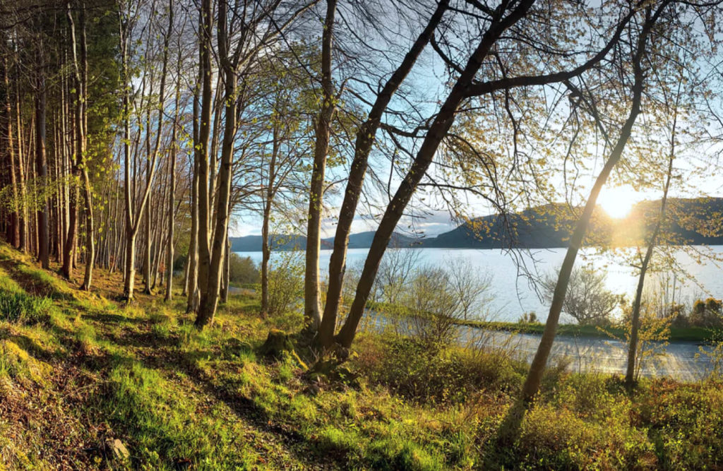 Navigating Capital Gains Tax When Selling Land: Strategies for Savings