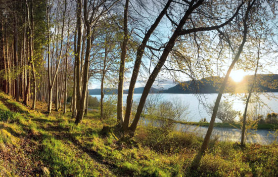Navigating Capital Gains Tax When Selling Land: Strategies for Savings